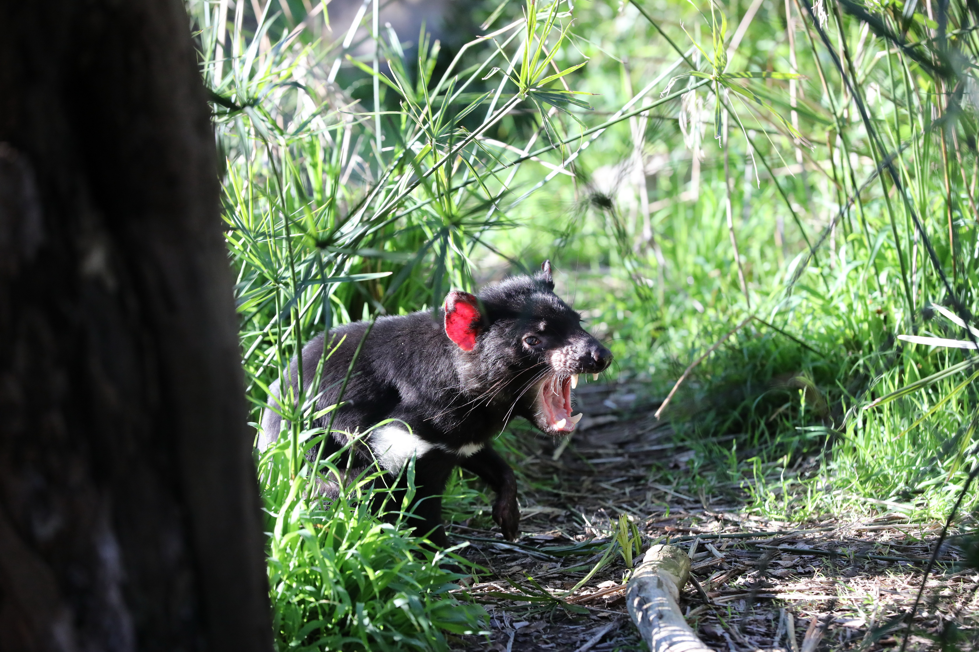 2019 07 19 15 34 52 Canon EOS 5D Mark IV 0044